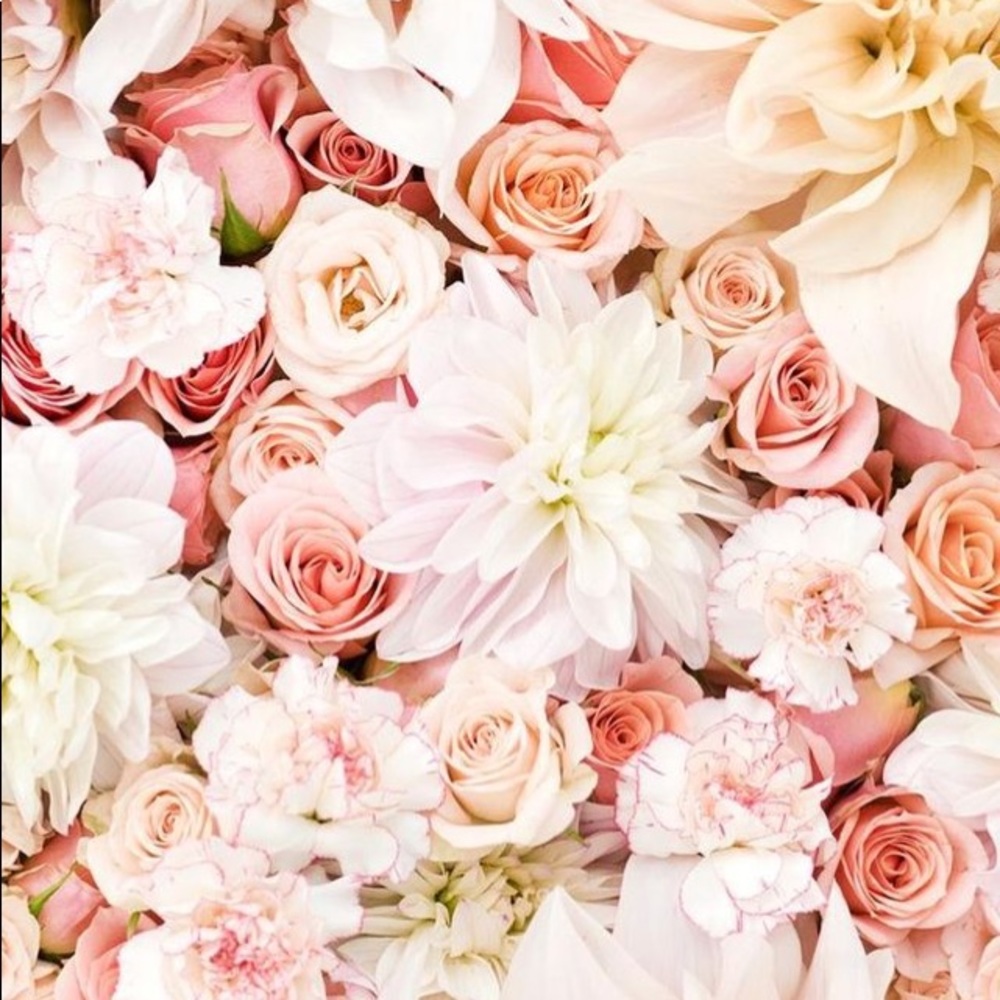 Meet your Posher, Havannah